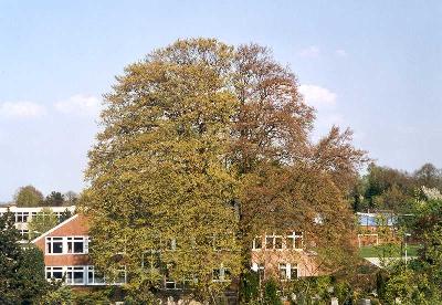 View onto school