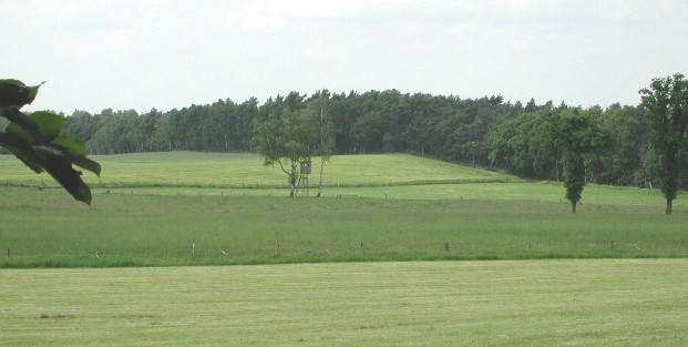 View from Church Path