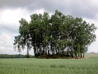 Grabh&uuml;gel