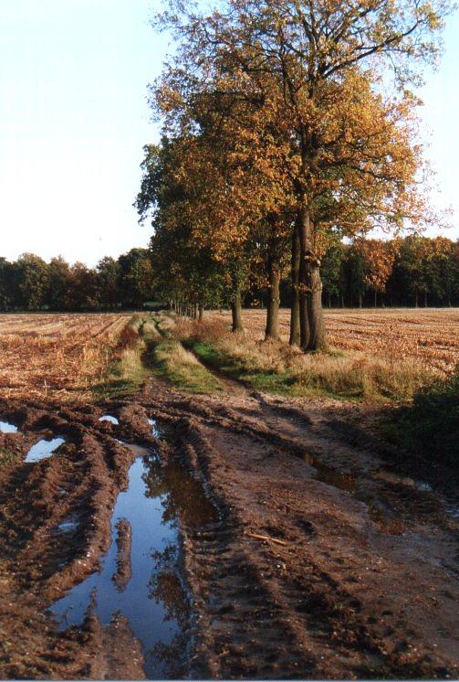 Linnenweg 2001